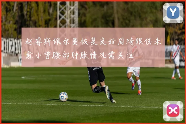 赵睿斯佩尔曼恢复良好周琦眼伤未愈小曾腰部肿胀情况需关注