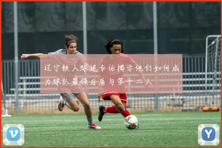 辽宁铁人球迷专访揭示他们如何成为球队最强后盾与第十二人